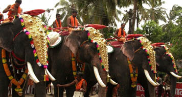 ATTRACTION OF KERALA